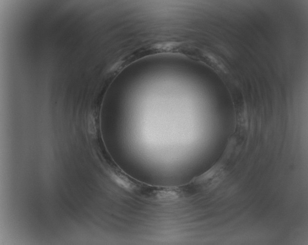 X0000067830572200604201218