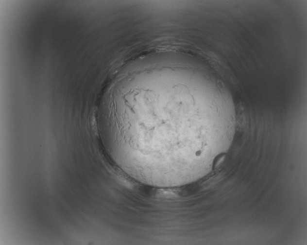 X0000067830573200604201218