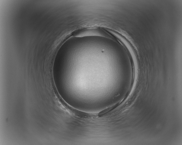 X0000067830577200604201218