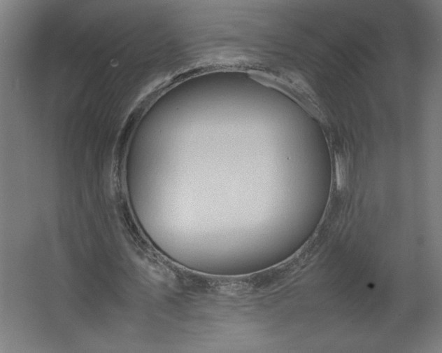 X0000067830579200604201218