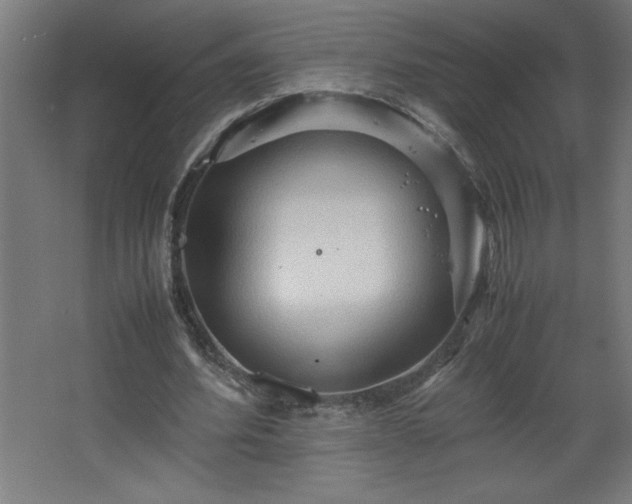 X0000067830580200604201218