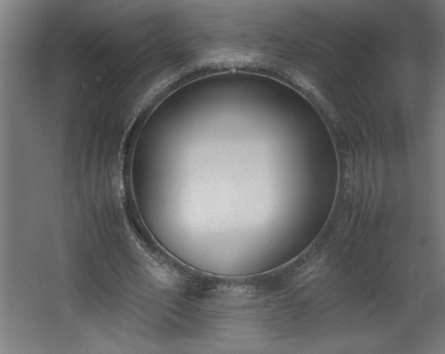 X0000067830582200604201218