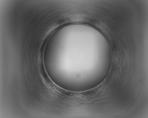 X0000067830583200604201218