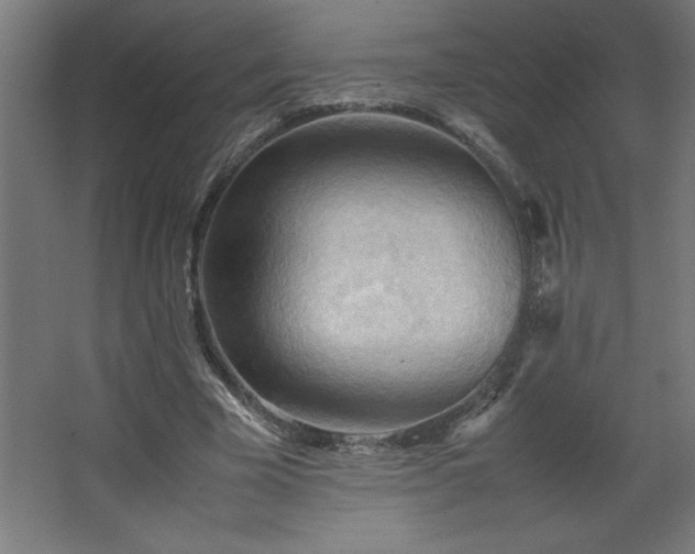 X0000067830585200604201218