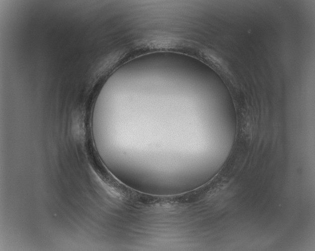 X0000067830586200604201218