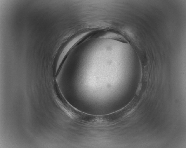 X0000067830589200604201217