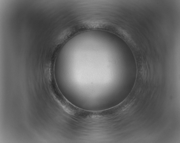 X0000067830590200604201217