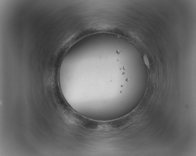 X0000067830591200604201217