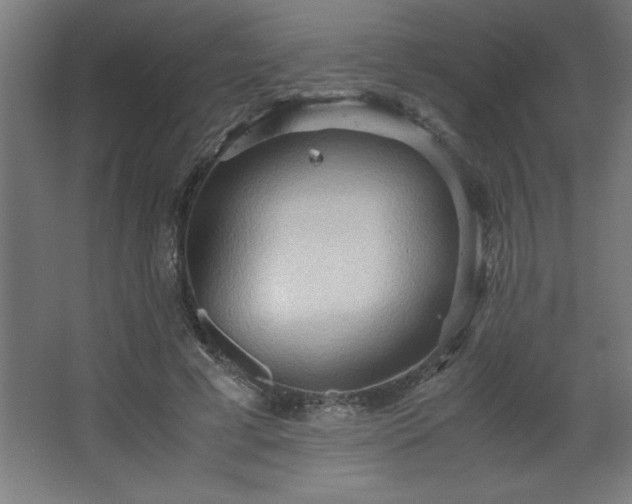 X0000067830593200604201217