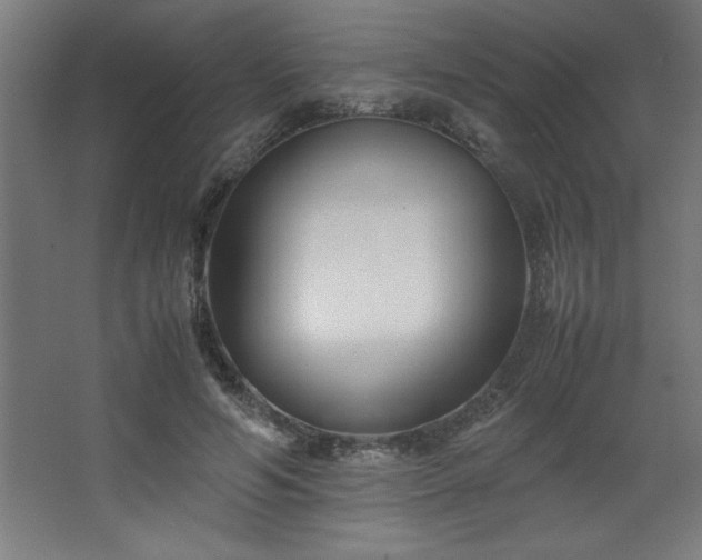 X0000067830594200604201217