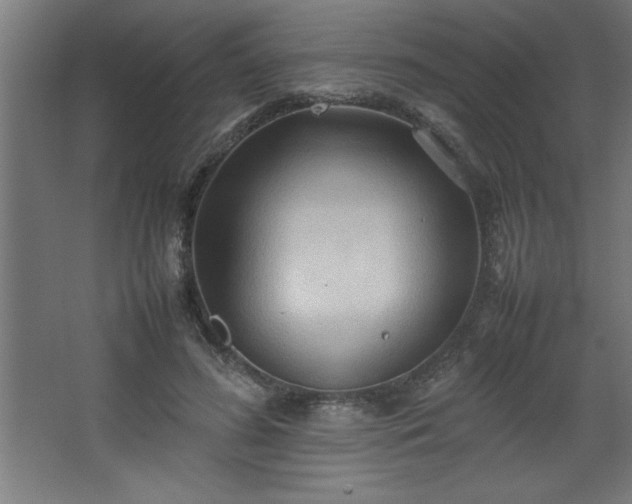 X0000067830596200604201217