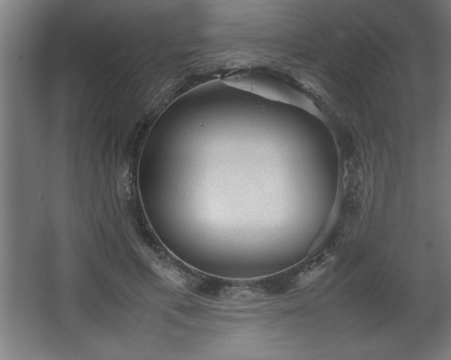 X0000067830597200604201217