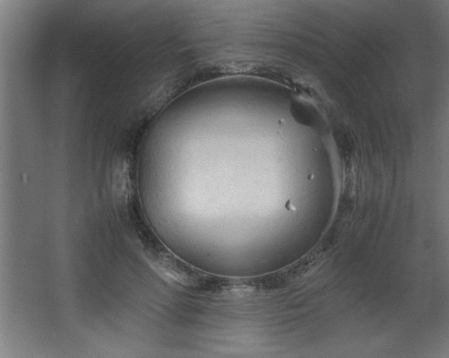 X0000067830598200604201217