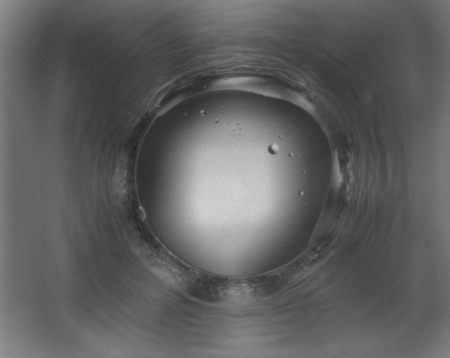 X0000067830600200604201217