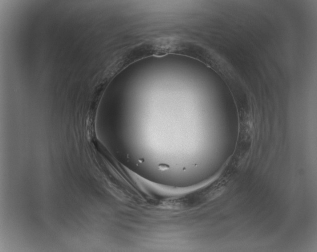 X0000067830601200604201217