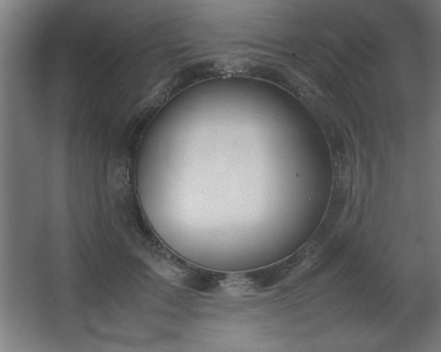 X0000067830603200604201217