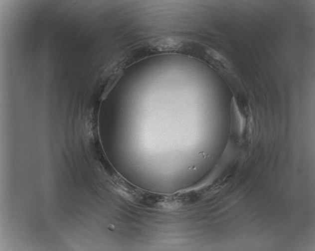 X0000067830604200604201217