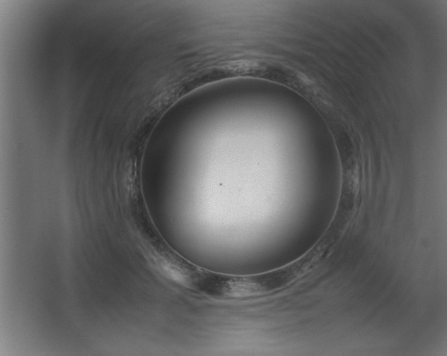 X0000067830605200604201217