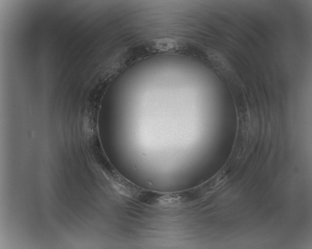 X0000067830606200604201217