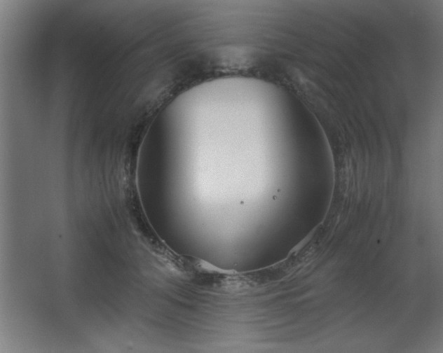 X0000067830608200604201217