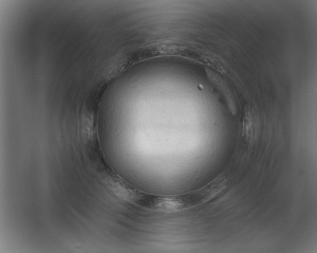 X0000067830610200604201217