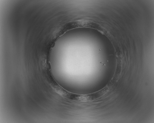 X0000067830615200604201217