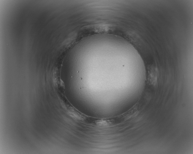 X0000067830616200604201217