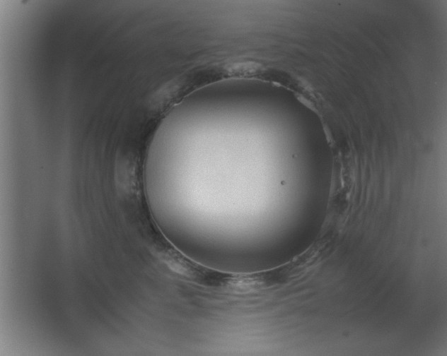 X0000067830619200604201217