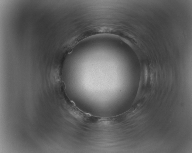 X0000067830620200604201217