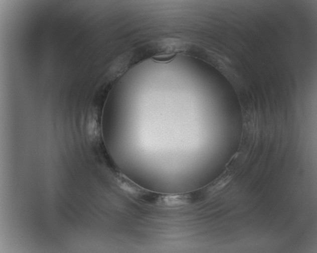 X0000067830622200604201217