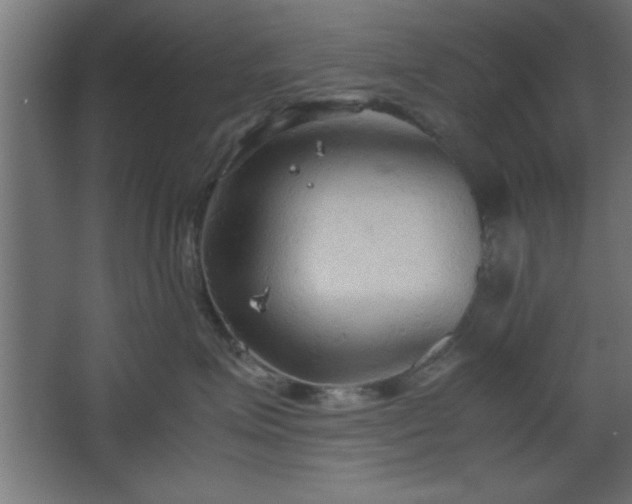 X0000067830623200604201217