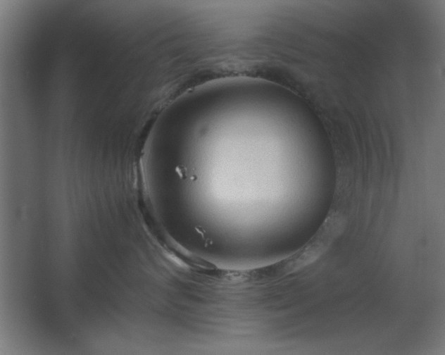 X0000067830624200604201217