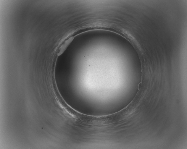 X0000067830625200604201216