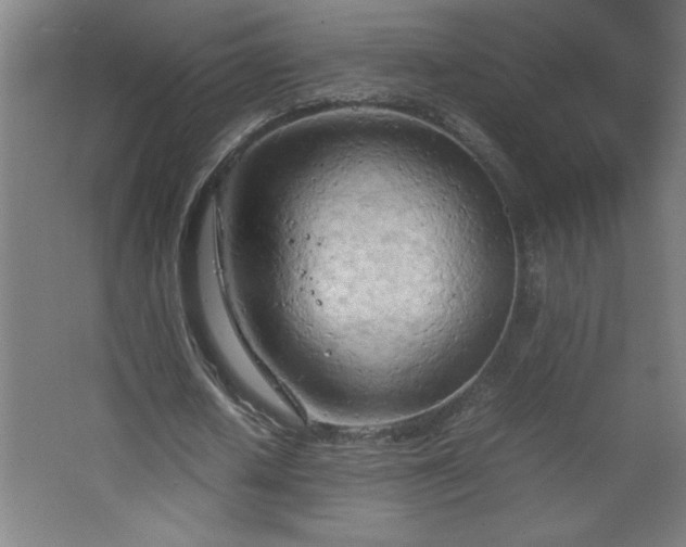 X0000067830626200604201216