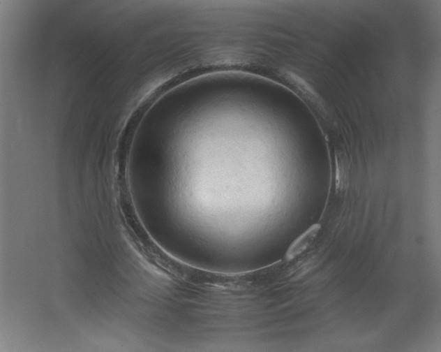 X0000067830627200604201216