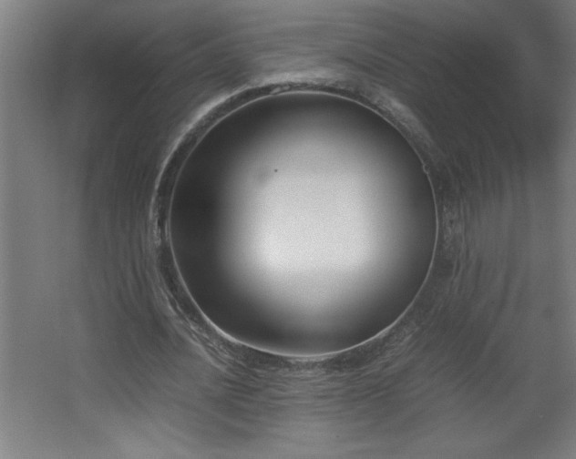 X0000067830628200604201216