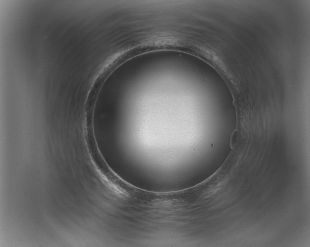 X0000067830629200604201216