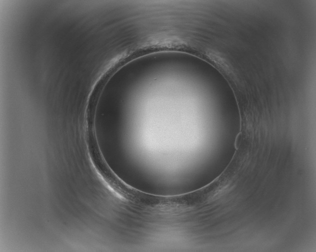 X0000067830630200604201216