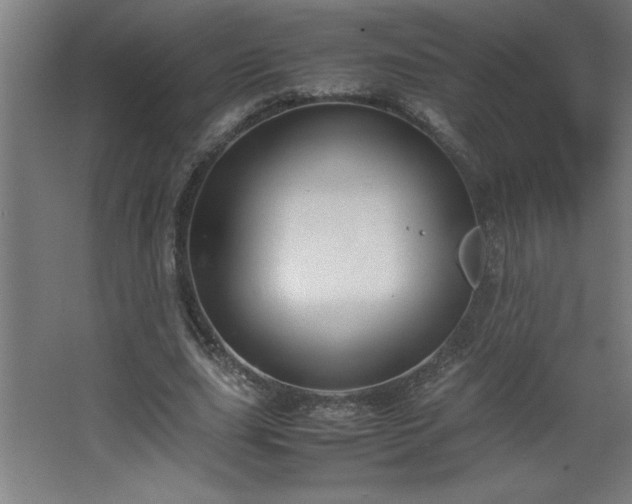 X0000067830631200604201216