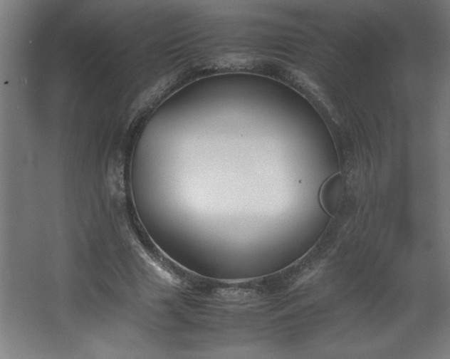 X0000067830633200604201216