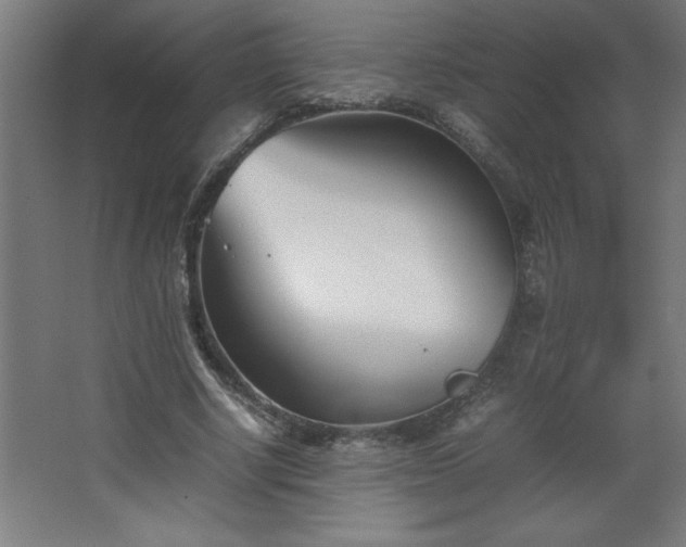 X0000067830634200604201216