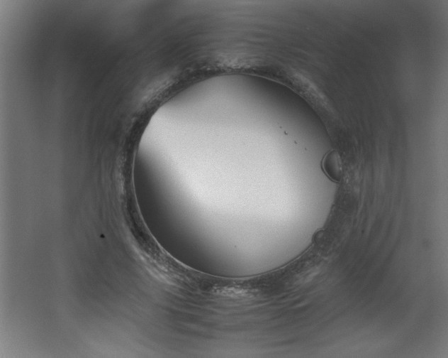 X0000067830635200604201216