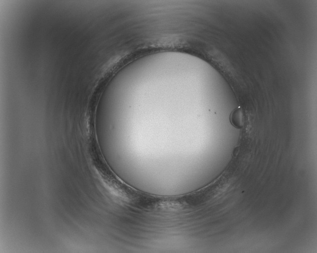 X0000067830636200604201216