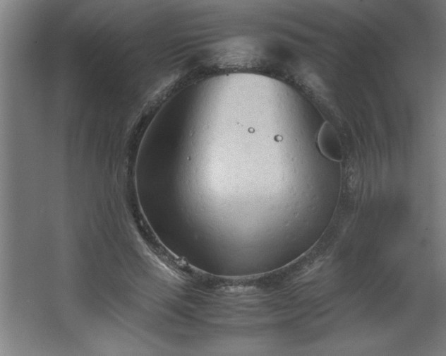 X0000067830637200604201216