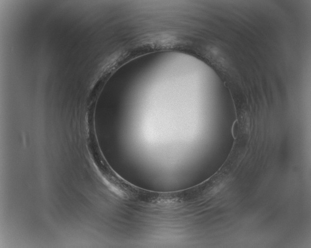 X0000067830638200604201216