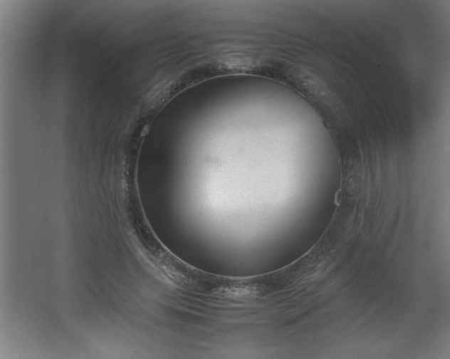 X0000067830639200604201216