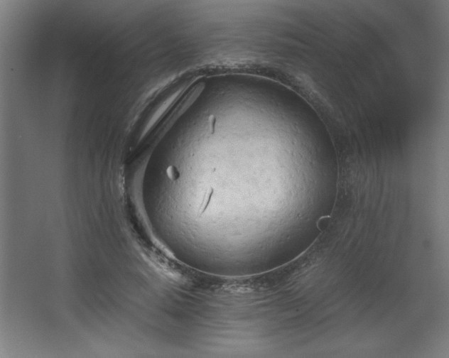 X0000067830640200604201216