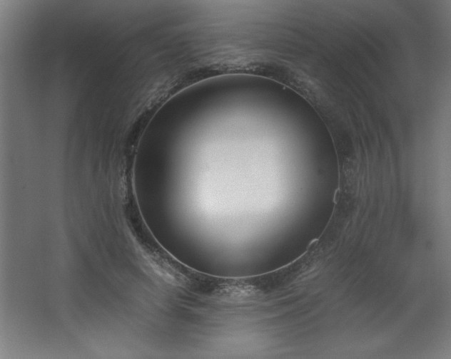 X0000067830642200604201216