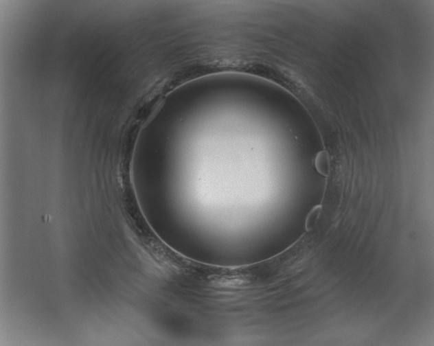 X0000067830643200604201216