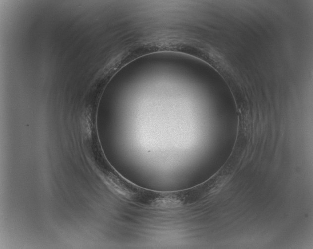 X0000067830644200604201216